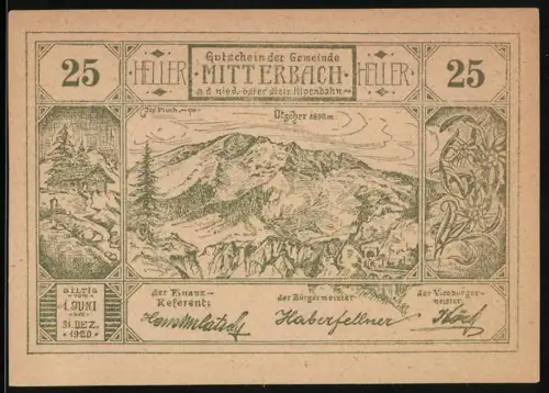 Notgeld Mitterbach 1920, 25 Heller, Berglandschaft mit Ötscher und Tunnel