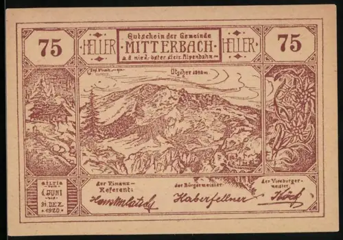 Notgeld Mitterbach a. d. nieder-öster.-steir. Alpenbahn 1920, 75 Heller, Berglandschaft mit Ötscher und Eisenbahntunnel