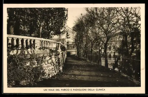 AK Torino, Un viale del parco e padiglioni della clinica
