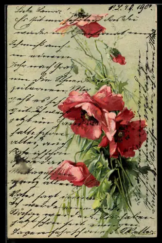 Künstler-AK Catharina Klein: Strahlende Mohnblumen