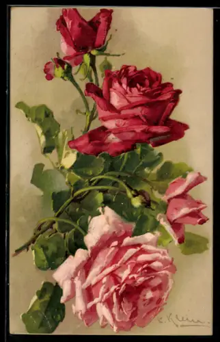 Künstler-AK Catharina Klein: Rote und rosafarbene Rosenblüten mit grünen Blättern