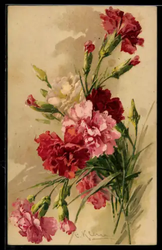Künstler-AK Catharina Klein: rote und rose Nelken, mit Knospen