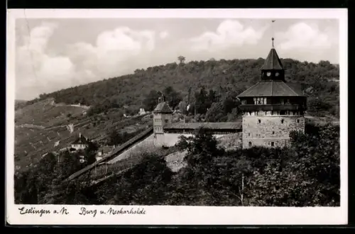AK Esslingen a. N., Burg und Neckarhalde