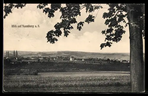 AK Naumburg a. S., Blick auf Stadtpanorama