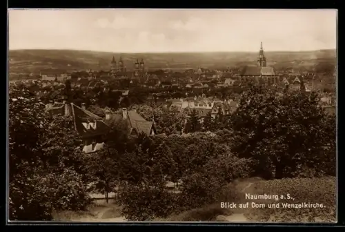 AK Naumburg a. S., Blick auf Dom und Wenzelskirche