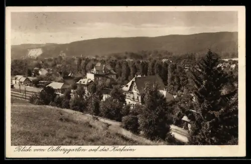 AK Rottleberode /Südharz, Blick vom Oelberggarten auf das Kurheim