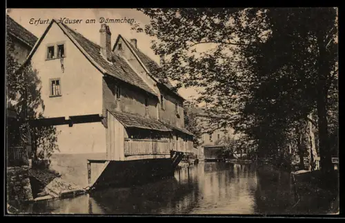 AK Erfurt, Häuser am Dämmchen