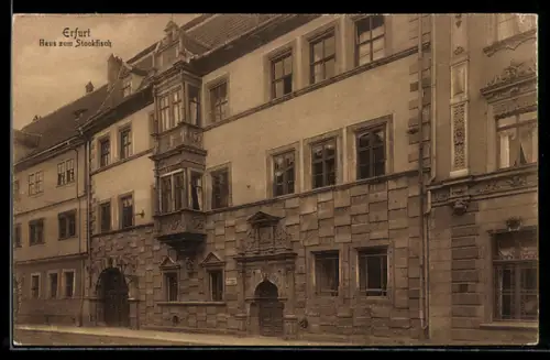 AK Erfurt, Haus zum Stockfisch