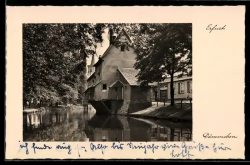 AK Erfurt, Dämmchen, Fachwerkhäuser am Wasser