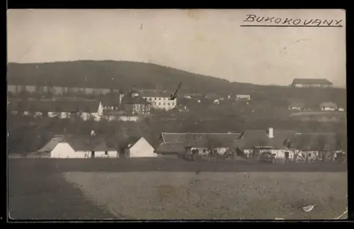 AK Bukovany u Kozárovic, Panorama