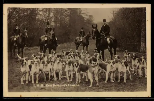 AK V. W. H. Earl Bathurst`s Hounds, Jagd