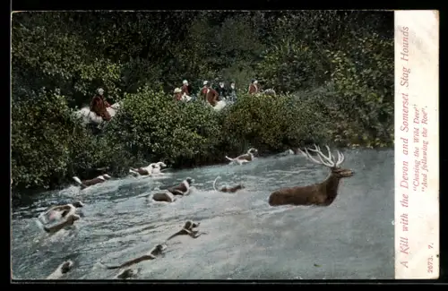 AK Devon, A Kill with the Deovn and Somerset Stag Hounds, Jagd