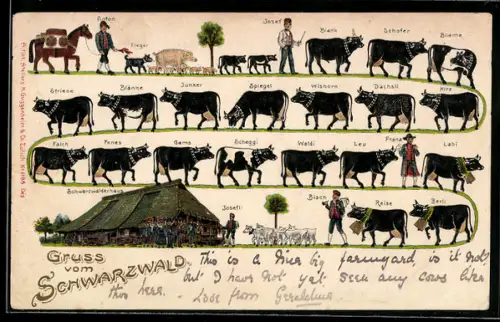AK Kuhherde auf dem Weg zum Schwarzwaldhaus