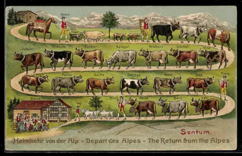 AK Heimkehr von der Alp, Sentum, Bauernhaus, Kühe mit Namen
