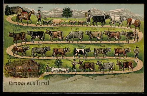 AK Gruss aus Tirol, Kühe Wishorn, Junker und Schegg kehren zum Bauernhaus zurück