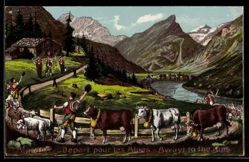 Lithographie Alpfahrt, Almauftrieb, Rinder