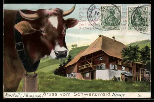 AK Schwarzwald, Almhütte und Ochse mit Glocke