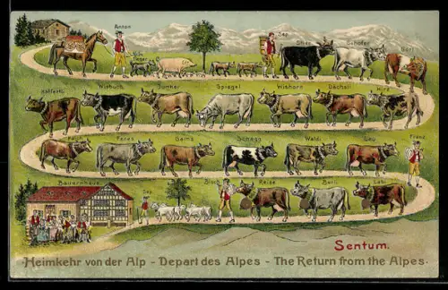 AK Heimkehr von der Alp, Sentum, Bauernhaus, Kühe mit Namen