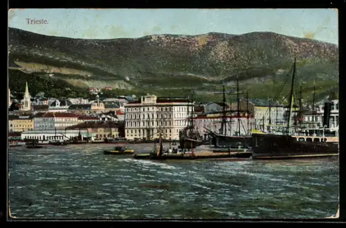 AK Trieste, Panorama