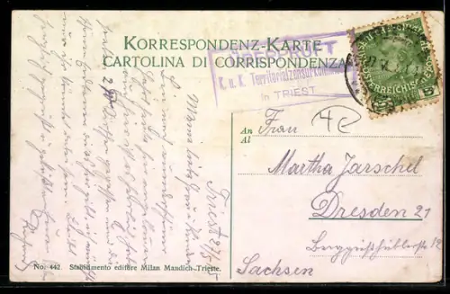 AK Trieste, Panorama