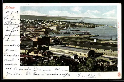 AK Trieste, Panorama