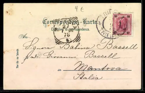 AK Trieste, Panorama