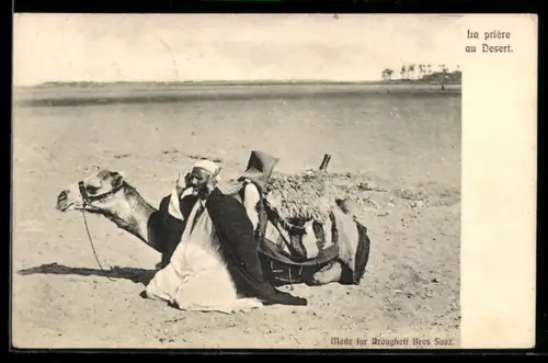 AK Arabischer Gläubiger betet in der Wüste, Kamel