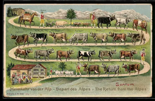 AK Heimkehr von der Alp, Sentum, Bauernhaus, Kühe mit Namen