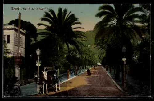 AK Nervi, Viale delle Palme