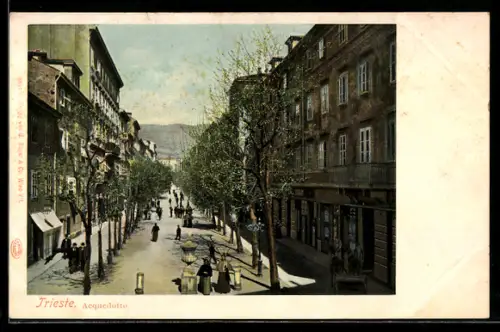 AK Trieste, Acquedotto, Blick in eine Strasse