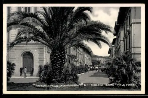 AK Montecatini Terme, Viale Forini