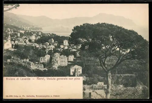 AK Nervi, Veduta generale con pino
