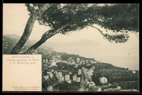 AK Nervi, Riviera di Levante, Panorama e S. Ilario con pino