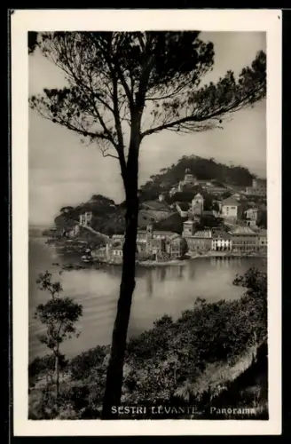 AK Sestri Levante, Panorama