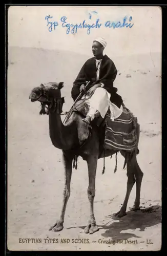 AK Egyptian Types and Scenes, Crossing the Desert, Arabischer Mann reitet auf einem Kamel