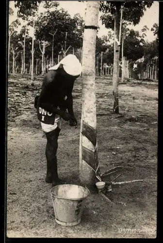 AK Arbeiter beim Abernten von Kautschukbäumen