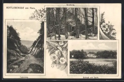 AK Rottleberode am Harz, Schloss mit Teich, Grasburg, Totenweg