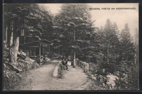 AK Bad Wildbad, Heermannsweg, Vater mit Sohn
