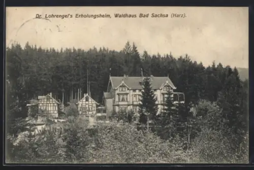 AK Bad Sachsa /Harz, Dr. Lohrengels Erholungsheim Waldhaus