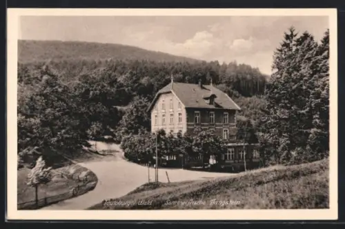 AK Hangstein /Teutoburger Wald, Hotel mit Strassenpartie