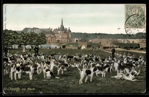 AK Chantilly, Une Meute, Jagd