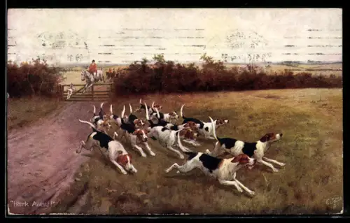 AK Fox Hunting, Hark Away!, Fuchsjagd, die Meute hat die Fährte aufgenommen