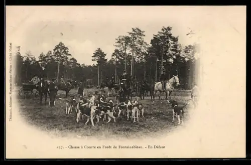 AK Foret de Fontainebleau, Chasse a Courre, en Defaut, Jagd