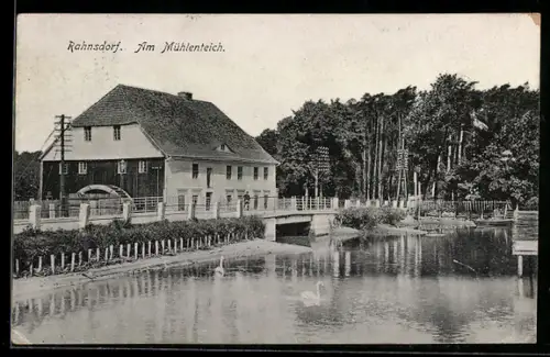 AK Rahnsdorf, Mühlenteich mit Schwänen, Gasthaus Paradiesgarten von Max Sorge