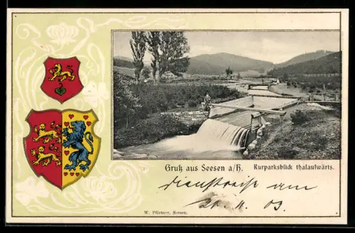 Passepartout-Lithographie Seesen a. H., Kurparksblick thalwärts, Wappen