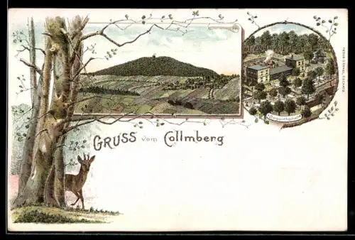 Lithographie Oschatz, Berggasthaus auf dem Colmberg