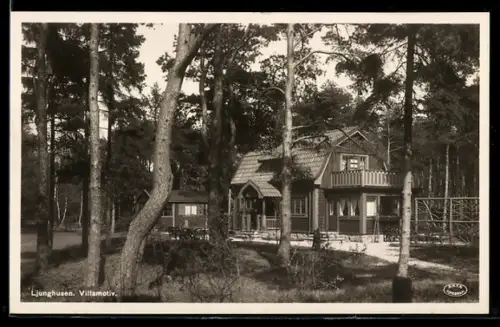 AK Ljunghusen, Villamotiv