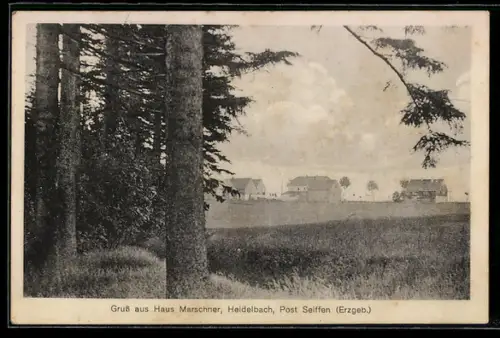 AK Heidelbach /Erzgeb., Haus Marschner, Landschaftsansicht
