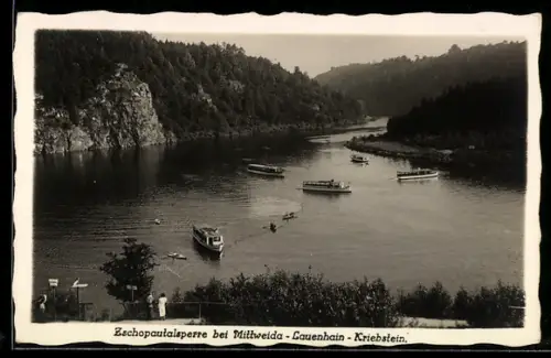 AK Mittweida /Lauenhain, Zschopautalsperre, Ausflugsschiffe, Flusslandschaft