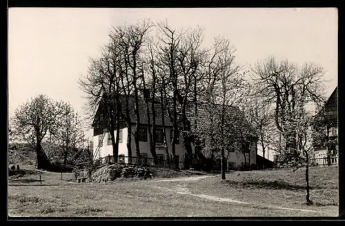 AK Zinnwald i. Erzgeb., Restaurant Hermann Börner